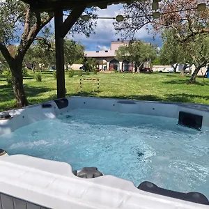 https://apartment-olive-garden-vodnjan.in-istria.net